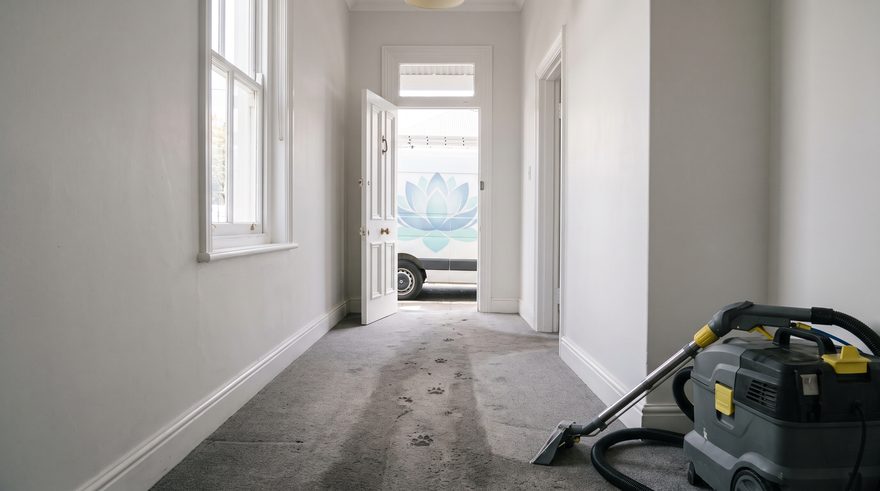 Keyframe 0, the hall: a grey hall carpet with paw prints, the machine, the open front door and the lotus van outside